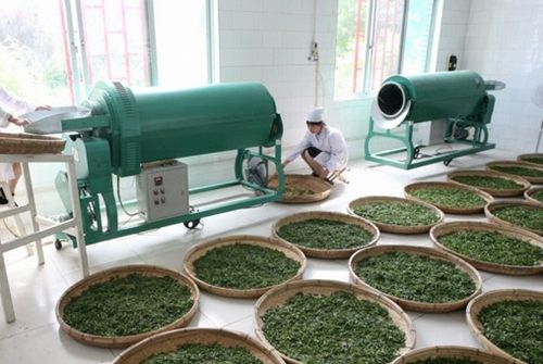 茶叶生产与加工技术 